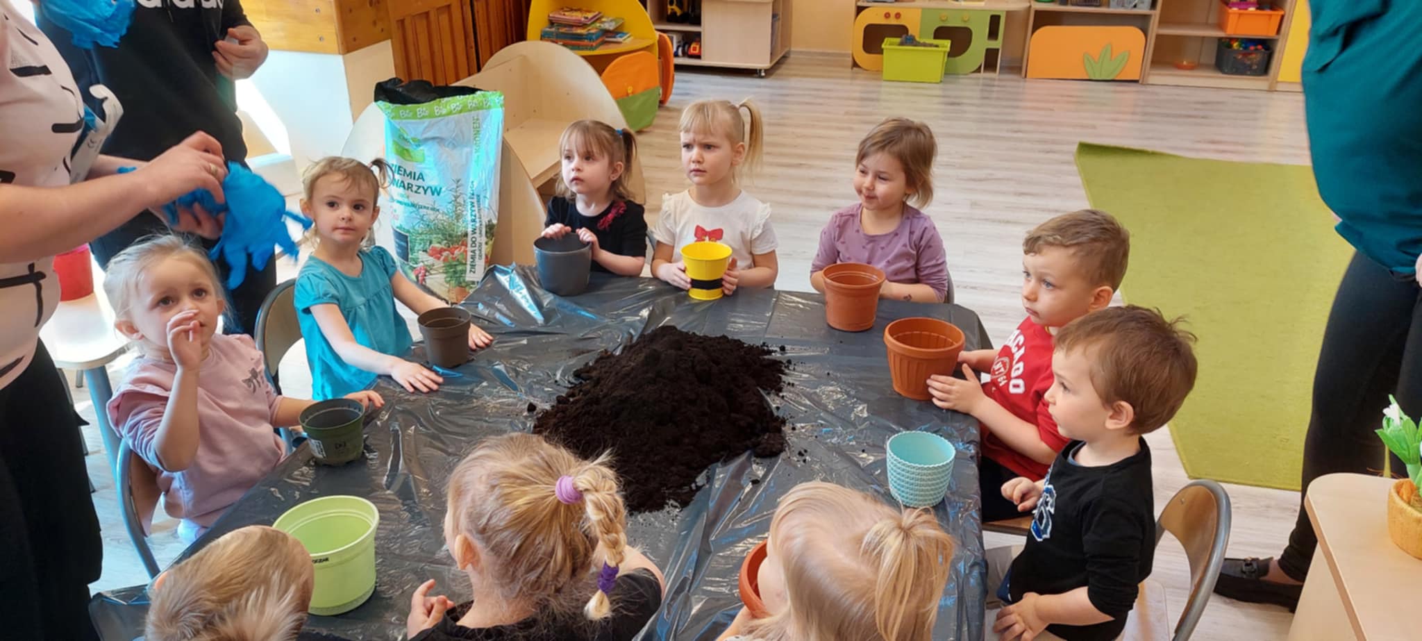 WIOSENNE SADZENIE ROŚLIN I KWIATÓW