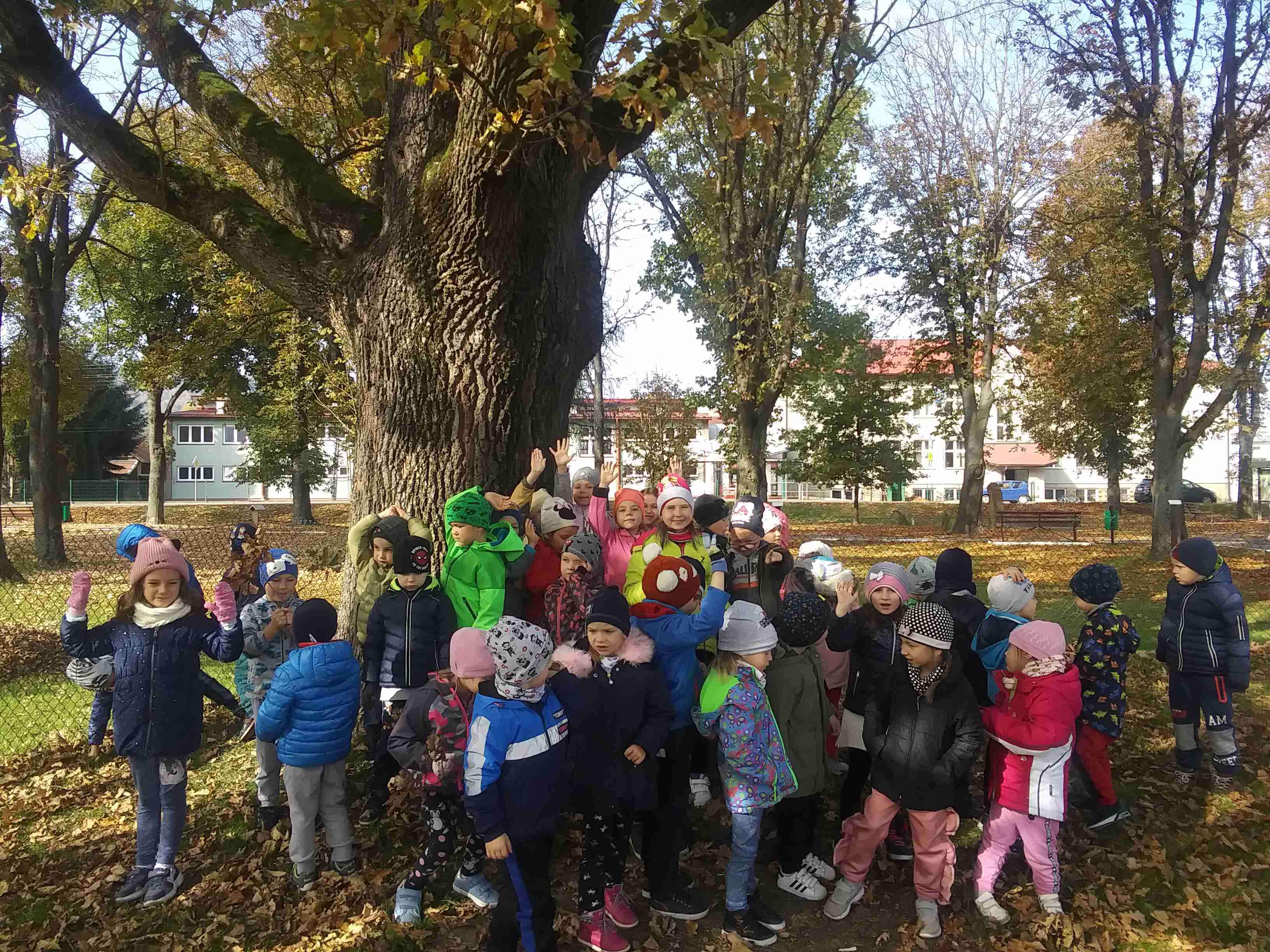 DZIEŃ DRZEWA