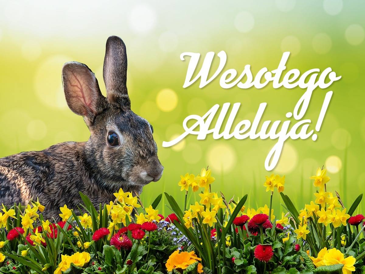 WESOŁYCH ŚWIĄT!